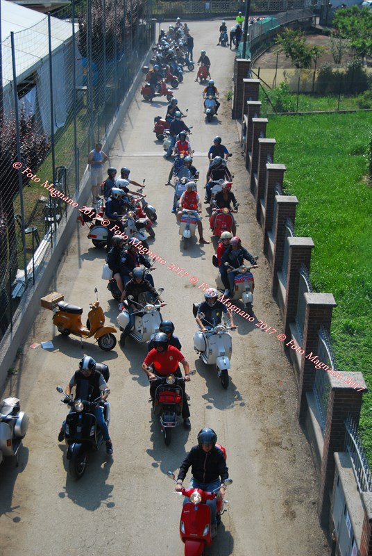 DSC_4960.JPG